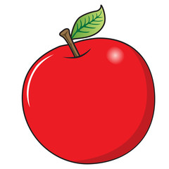 red apple vector illustration,top view