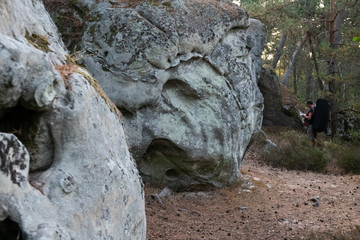 great route path 13 - Larchant - France