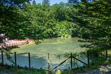 Fototapeta premium Romania 2020,Alunis Lake Thermal Spa in Sovata, Transylvania, 