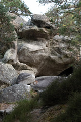 great route path 13 - Larchant - France