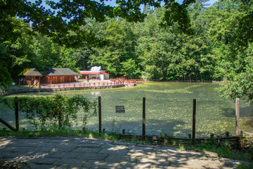 Romania 2020,Alunis Lake Thermal Spa in Sovata, Transylvania, 