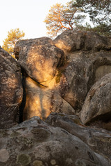 great route path 13 - Larchant - France