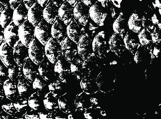 Fish scales texture. Scales background.Grunge texture. Grunge black and white vector overlay. Grungy grainy surface. © LIORIKI