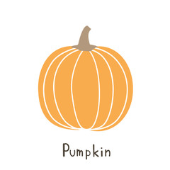 Cute cartoon pumpkin icon isolated on white background vector. Halloween, thanksgiving symbol. Flat design.