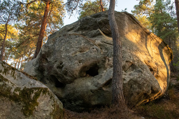 great route path 13 - Larchant - France