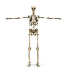 Основные RGB