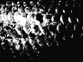 Fish scales texture. Scales background.Grunge texture. Grunge black and white vector overlay. Grungy grainy surface. © LIORIKI