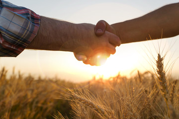 Two farmers shake hands against the background of a wheat field. Conclusion of a contract. - obrazy, fototapety, plakaty