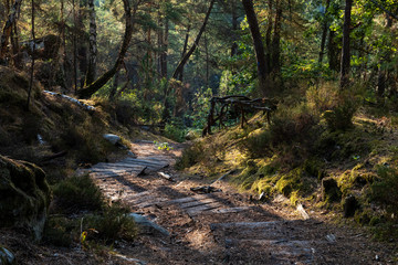 great route path 13 - Larchant - France