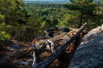 great route path 13 - Larchant - France
