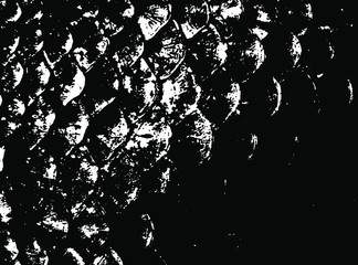 Fish scales texture. Scales background.Grunge texture. Grunge black and white vector overlay. Grungy grainy surface. © LIORIKI