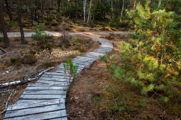 great route path 13 - Larchant - France