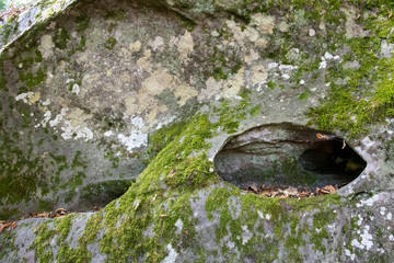 great route path 13 - Larchant - France