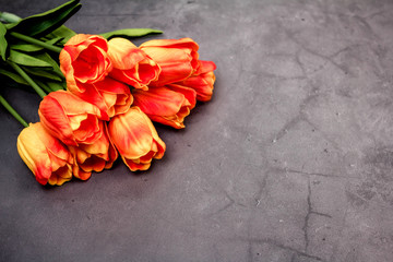 orange-yellow tulips on black cement background