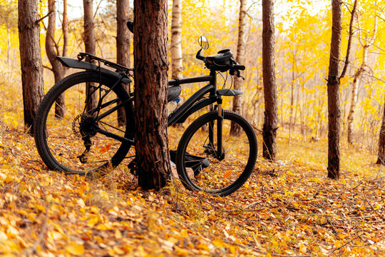 Black mountain bike in the autumn forest. Cloudy day.