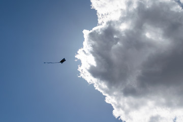 kite silhouette flying by cloud on blue sky