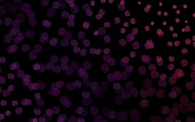 Dark Purple, Pink vector doodle pattern with flowers, roses.