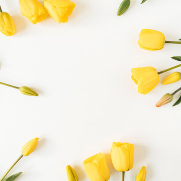 Round frame wreath with blank copy space made of yellow tulip flowers on white background. Flat lay, top view floral festive holiday concept