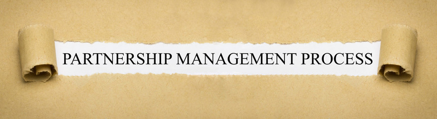 Partnership Management Process