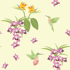 Seamless vector illustration with flowers of orchids, strelitzia and hummingbirds