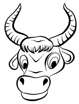 Hand drawn portrait of cute cow or bull. Vector sketch illustration isolated on white