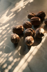 walnut close-up with glare from bright light through the curtain