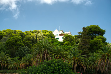 Fototapeta na wymiar Colonial villa house in the park in the jungle of palm trees luxury
