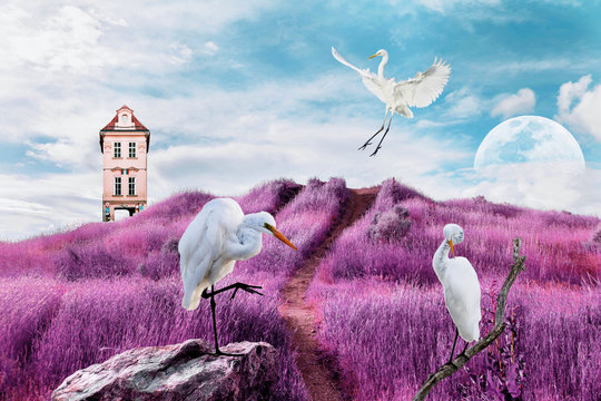 contemporary art collage of white birds on surreal landscape