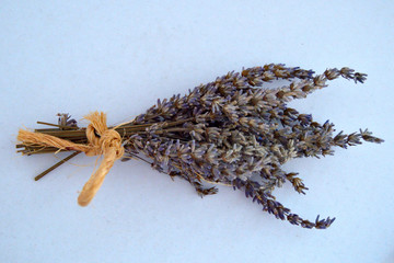 Artistic photo dried gray purple lavender