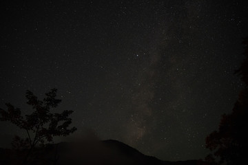 森の中で見えた星