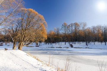 winter landscape with trees and snow