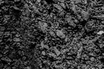Fototapeta na wymiar Coal Mine. Natural black coals for background. Industrial coals. Volcanic rock energy on earth. Stone Natural Energy Source.