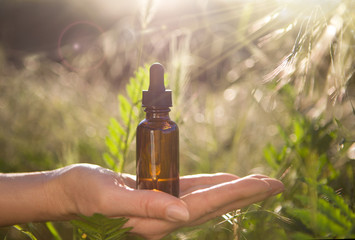 Fototapeta premium Hand holding a bottle of essential oil in a pipette, natural herb, obtaining oil extracts for medical purposes.