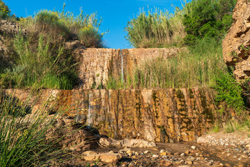 waterfall surrounded by vegetation
