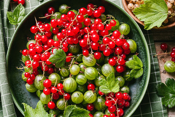 Green gooseberries and red currants with leaves in a green ceramic plate on a green kitchen towel.