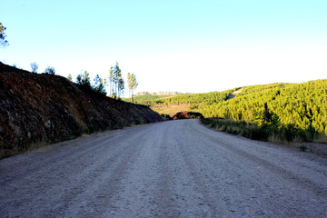 camino en la montaña 