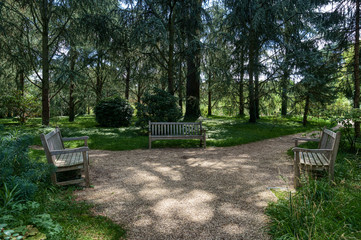 Benchs in blue forest of beautiful Albert Kahn Park during summer - Boulogne-Billancourt near Paris - France