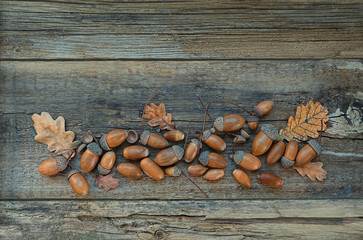 acorns and oak leaves on old wooden background. autumn time concept. fall harvest season. top view. copy space. 
