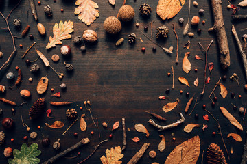 Flat lay autumn season background