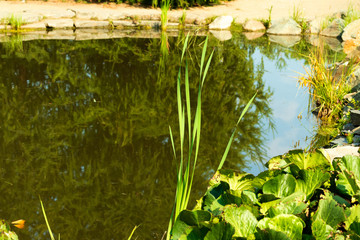 Beautifully decorated with stones and plants artificial body of water with a reflection of the sky on the water.
