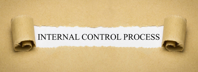 Internal Control Process