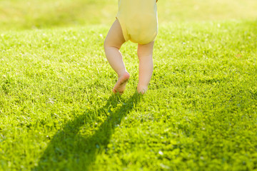 Baby walking barefoot on fresh, green grass in sunny summer evening. Back view. Closeup.