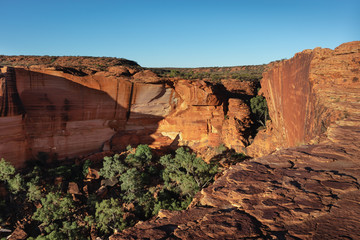 Vertical walls at Kings Canyon. Trees at the bottom. Wide angle picture. Watarrka national park, Northern Territory NT, Australia