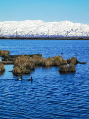 lake tahoe california