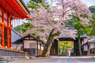 Poster Kiyomizu-dera Tempel und Kirschblüte (Sakura) Frühling in Kyoto © f11photo