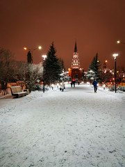 Fototapeta premium christmas tree in the city