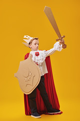boy in a knight costume