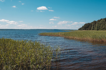 Vuoksa river near Imatra in the Leningrad region, Russia. Coastline with pine forest reflected in Vuoksa water, near Finland. River bank