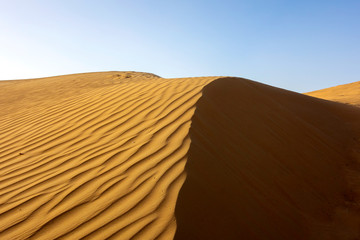 sand dunes in the dubai desert