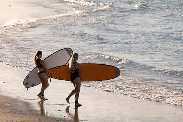 Female surfers about to enter the ocean. Surfing on a sunny afternoon at sunset time. Sportive active friends on vacation carrying long boards. Byron Bay, New South Wales NSW, Australia